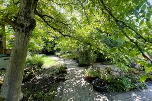 RESERVIERT! Wohnhaus nebst Doppelcarport und tollem Garten mit beeindruckender Pflanzenvielfalt! – Lippe (Kreis) – Vorschaubild 11