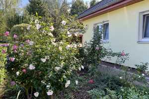 NEUER PREIS |TOP Einfamilienhaus INKLUSIVE 1474m² Traumgrundstück + Whirlpool + Kamin + Saunahaus – Oberhavel (Kreis) – Vorschaubild 4