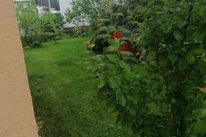 Wohnen wie im eigenen Haus-großzügige 166m² Wohnung mit Garten und zwei Sonnenterrassen – Am Elisabethheim 68b, 42111 Uellendahl-Katernberg, Wuppertal – Vorschaubild 21
