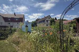 Tradition trifft Raumvielfalt - Großes Wohnhaus mit Einliegerwohnung und Gartenidylle – Schwalm-Eder-Kreis – Vorschaubild 5