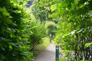 Property thumbnail 8