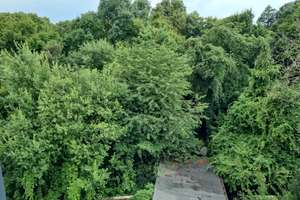 Erstbezug nach vollständiger Sanierung BALKON ruhige Lage