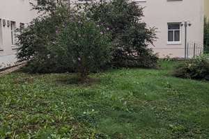 Schöne 2-Zi-WE mit sep. Küche, Laminat, Duschbad in der nördl. Innenstadt (Steintor) – Krausenstraße 18, 6112 Nördliche Innenstadt, Halle (Saale) – Vorschaubild 4