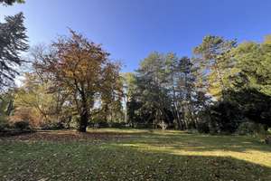 Halle-Innenstadt: Originale Villa zum Sanieren, für 1 bis 3 Familien, großes Park-Naturgrundst – Ratswerder 8, 6110 Südliche Innenstadt, Halle (Saale) – Vorschaubild 12