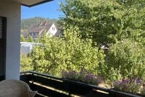 Freiburg Zähringen - naturnah und ruhig – 79108 Zähringen, Freiburg im Breisgau – Vorschaubild 7