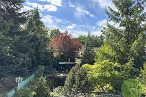 ** Best of schön ** frei stehend ** Fantastischer Garten ** Schwimmteich ** Solar ** 3 Garagen ** – Leutershauser Str. 19, 90453 Krottenbach, Mühlhof, Nürnberg – Vorschaubild 55