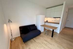 Möblierte und moderne 1-Zi-Wohnung in Giesing/Au-Haidhausen – Die vollständige Adresse der Immobilie erhältst du vom Anbieter., 81541 Balanstraße-West, München – Vorschaubild 3