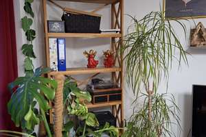 2-Raum-Wohnung mit großer Wohnküche zu vermieten – Krimmstraße 13, 45276 Steele, Essen – Vorschaubild 4