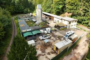 EFH mit Gewerbefläche zur landwirtschaftlichen Nutzung mit Tierhaltung – Die vollständige Adresse der Immobilie erhältst du vom Anbieter., 67468 Frankenstein – Vorschaubild 1