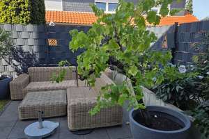 Moderne ebenerdige Eigentumswohnung mit Garten und PKW Stellplatz – Herzogin-Clara-Straße 24A, 38442 Fallersleben, Wolfsburg – Vorschaubild 19