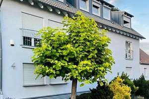 Repräsentatives Traumhaus mit Fernblick in bevorzugter Stadtrandlage von Zweibrücken – Die vollständige Adresse der Immobilie erhältst du vom Anbieter., 66482 Stadtmitte, Zweibrücken – Vorschaubild 7