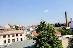 Property thumbnail 13