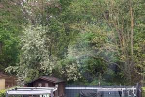 Wohnen mit Charakter: 3,5-Zimmer-Dachgeschosswohnung mit eigenen Garten in Dortmund-Neuasseln  – 44309 Brackel (Ortsteil), Dortmund – Vorschaubild 12