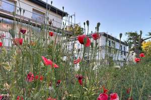 Moderne Stadtvilla zur Miete - Erstbezug in energieeffiziente Neubau-Doppelhaushälfte – Karl-Marx-Str. 3, 39240 Calbe (Saale) – Vorschaubild 3