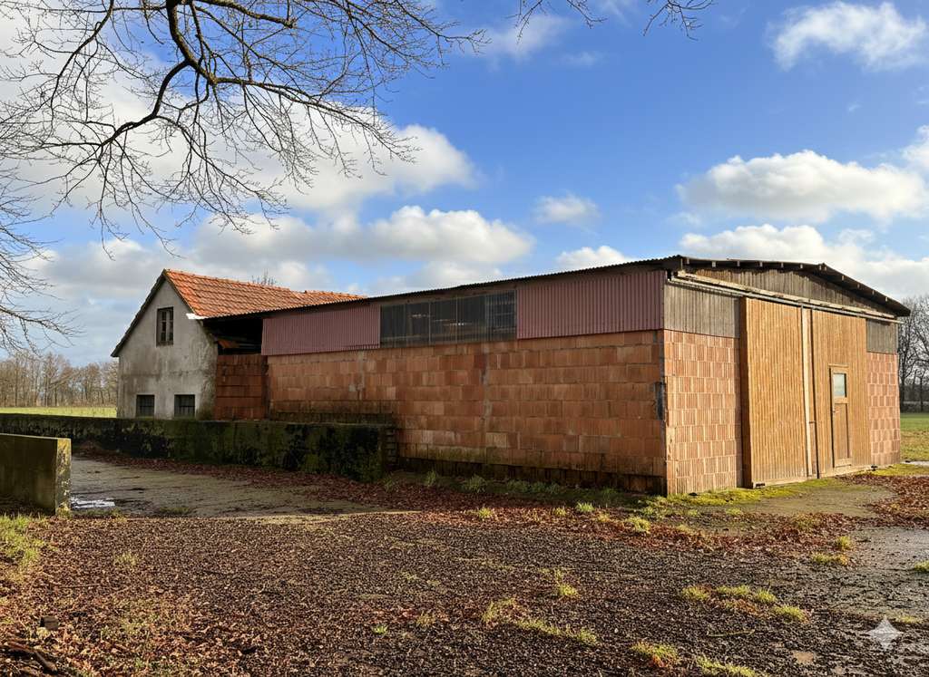 Immobilie in Hövelhof - Hof-Juwel sucht Visionäre: Sanierungsobjekt mit 10.500 m2 Land in Alleinlage (mit Video) - Bild 1