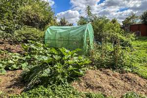 Gründerzeithaus | großer Garten| Renoviert | Flexibel nutzbar – Die vollständige Adresse der Immobilie erhältst du vom Anbieter., 4808 Wurzen – Vorschaubild 25