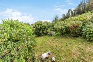 ***Freistehendes EFH***FERIENHAUS*** in idyllischer Lage am
 Biggese – Olpe (Kreis) – Vorschaubild 17