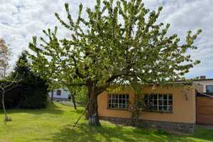 *Provisionsfrei* Einfamilienhaus mit Garten und Garagen – Güstrow (Kreis) – Vorschaubild 28