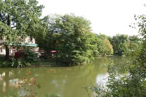 Property thumbnail 30