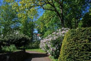 Property thumbnail 14