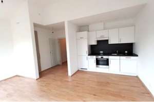 Stilvolle, geräumige und vollständig renovierte 1-Zimmer-Wohnung mit Balkon und EBK in Wiesbaden – Die vollständige Adresse der Immobilie erhältst du vom Anbieter., 65201 Schierstein, Wiesbaden – Vorschaubild 20
