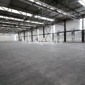 PROVISIONSFREI: Ca. 4.000 qm Lager / Logistik | Rampe | 5,50 - 8100 m UKB !