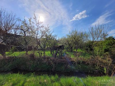 Freie, naturnahe Doppelhaushälfte mit viel (Ausbau-) Potential ! Streuobstwiese, eigener Bachlauf...