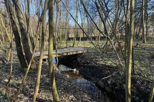 Viel Platz auf Traumgrundstück mitten im Landschaftsschutzgebiet – Die vollständige Adresse der Immobilie erhältst du vom Anbieter., 27711 Osterholz-Scharmbeck – Vorschaubild 11