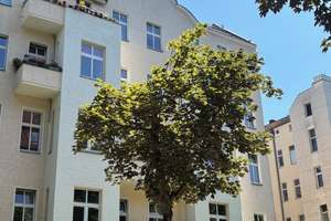 Modernes City-Appartement in zentraler Lage – sofort bezugsfertig