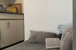 Property thumbnail 29