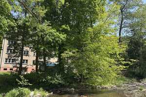 Provisionfrei! Schwarzburg, Mehrfamilienhaus direkt am Fluss – Saalfeld-Rudolstadt (Kreis) – Vorschaubild 5