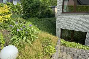 Repräsentatives Einfamilienhaus mit Einliegerwohnung im Emmerbachtal  - Münster Süd – Die vollständige Adresse der Immobilie erhältst du vom Anbieter., 48165 Hiltrup-Ost, Münster – Vorschaubild 4