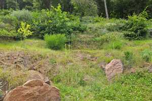 Naturliebhaber aufgepasst – Lambertskreuzstr. 9, 67466 Bad Dürkheim (Kreis) – Vorschaubild 6
