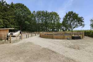 !!Reserviert!!
!! Absolutes Traumobjekt !!
Komplett sanierter Resthof mit über 8000m² Fläche – Emsland (Kreis) – Vorschaubild 40