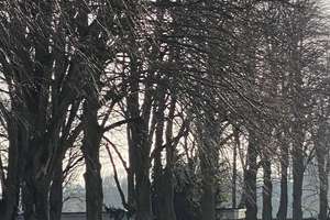 Property thumbnail 30