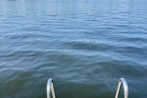 RARITÄT! Traum Grundstück DIREKT am Wasser mit Villa, Gartenhaus und genehmigter Ausbauplanung! – Berlin – Vorschaubild 4