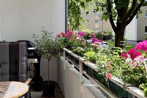 Ruhig, grün & zentrumsnahe 3-Zi. 74qm Wohnung mit SW-Loggia am Grafenberger Wald – Hülsmeyerstraße 4, 40629 Ludenberg, Düsseldorf – Vorschaubild 9
