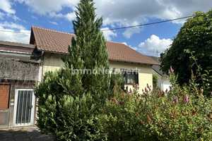 Freistehendes Einfamilienhaus in idyllischer Waldrandlage – Bad Dürkheim (Kreis) – Vorschaubild 18