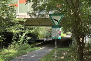 Letzte Doppelhaushälfte! – Alte Marktstraße 45, 53757 Sankt Augustin – Vorschaubild 17