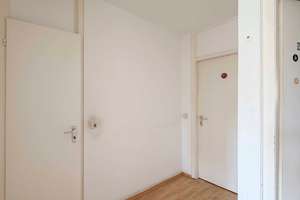 Kapitalanlage mit attraktiver Rendite – 3-Zimmer-Wohnung als etablierte 3er-WG in Köln-Mülheim – 51065 Mülheim (Ortsteil), Köln – Vorschaubild 8