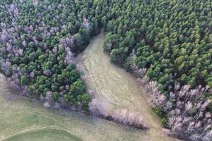 Dreiseitenhof mit viel Platz - Wald und Wiesenfläche und vielseitige Möglichkeiten – Die vollständige Adresse der Immobilie erhältst du vom Anbieter., 3238 Sallgast – Vorschaubild 17