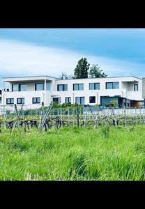 Barrierefreie Terrassen Wohnung mit eigenem Eingang in absolut ruhiger Südlage vor den Weinbergen