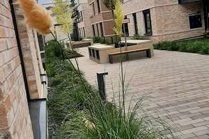 Neubau-Highlight: Letzte Erdgeschosswohnung mit Atriumgarten – Suitbertusstraße 149, 40223 Bilk, Düsseldorf – Vorschaubild 4
