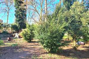 FINALER PREIS | PROVISIONSFREI | Einfamilienhaus mit Wintergarten und Bungalow auf großem Grundstück – Oberhavel (Kreis) – Vorschaubild 4