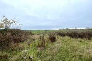 Doppelhaus in Dorfrandlage mit viel Ausbaupotential, 5000m² Grundstück bei Neuruppin, ca. 600m² NF – Ostprignitz-Ruppin (Kreis) – Vorschaubild 6