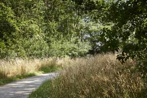 Property thumbnail 13