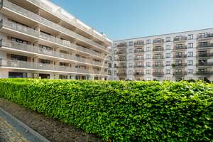 Property thumbnail 3