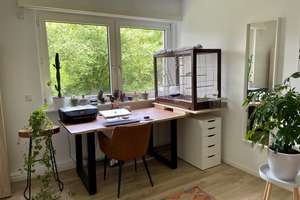 Moderne 3-Zimmer-EG-Wohnung mit Garten, EBK & großem Keller – frei ab 15.08.  in Wiesbaden – Die vollständige Adresse der Immobilie erhältst du vom Anbieter., 65189 Südost, Wiesbaden – Vorschaubild 11