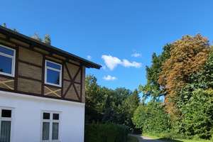 Gr. Plöner See *fußläufig * 980 m² Wfl. * Fachwerk-Anwesen * Sackgassenlage (!) * 5700 qm Grdstk. * – Die vollständige Adresse der Immobilie erhältst du vom Anbieter., 24326 Ascheberg (Holstein) – Vorschaubild 29