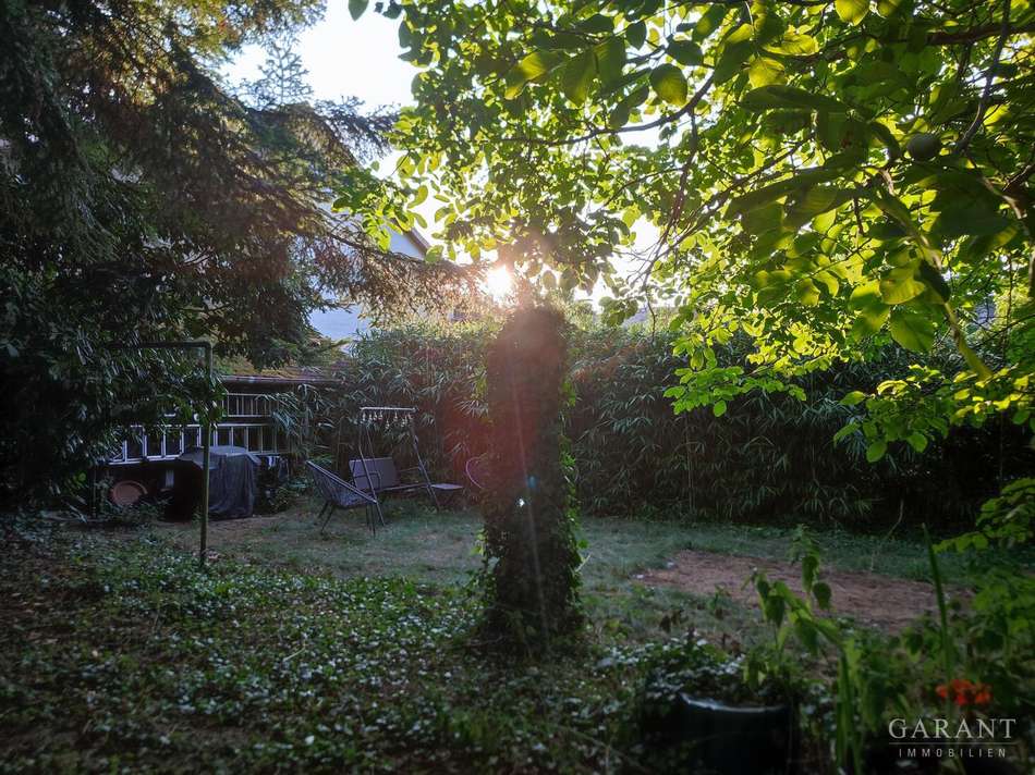 Garten (3)